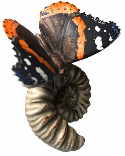 Goebel Red Admiral Vulcain Butterfly #35003 3 1/2" Tall - Thumbnail 2