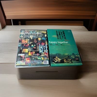 Happy Together DVD Rare OOP Wong Kar Wai Leslie Cheung Tony Leung - Thumbnail 6