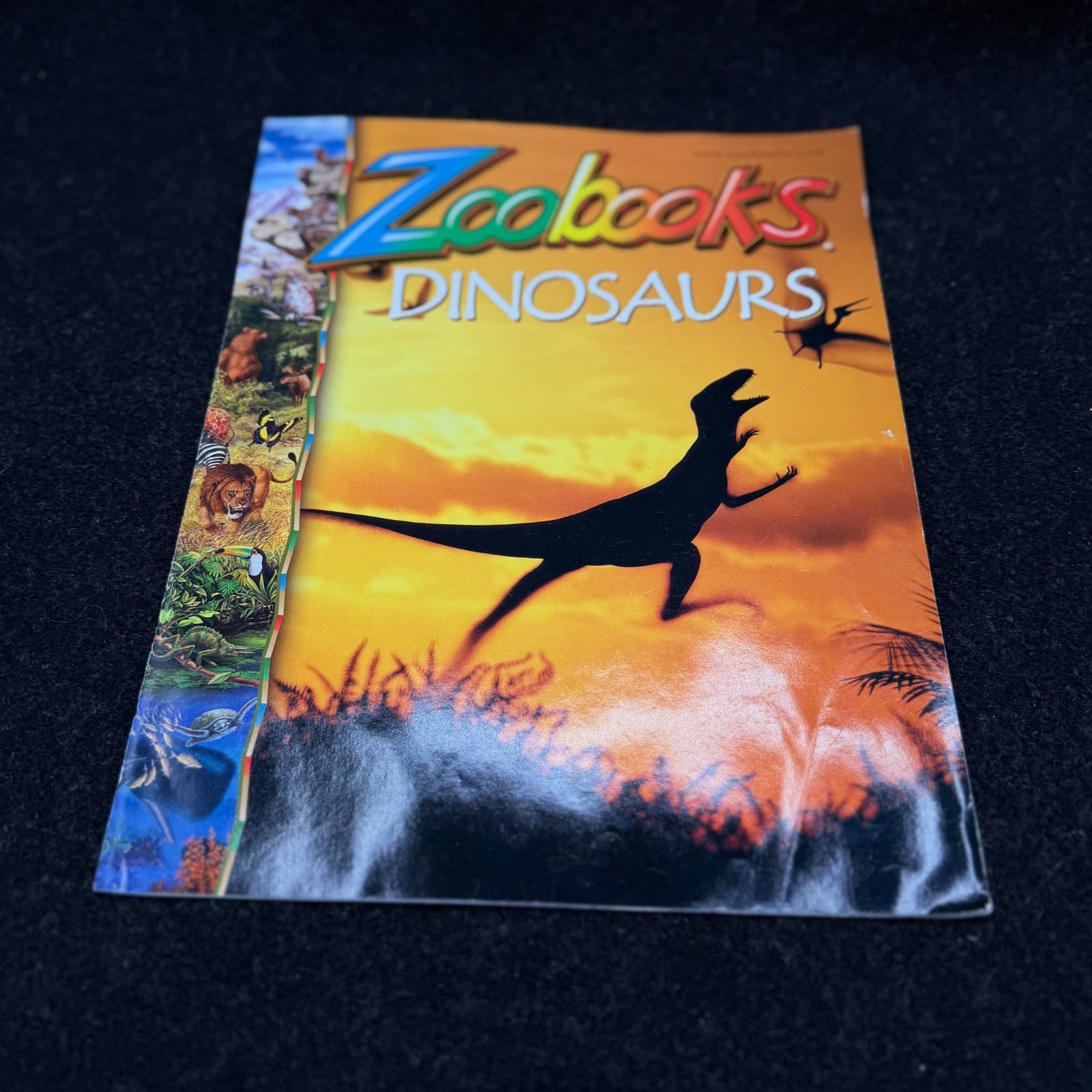 VTG Lot Of 10 Zoobooks Magazines Wildlife Education Homeschool Kids NO DUPLICATE - Thumbnail 5