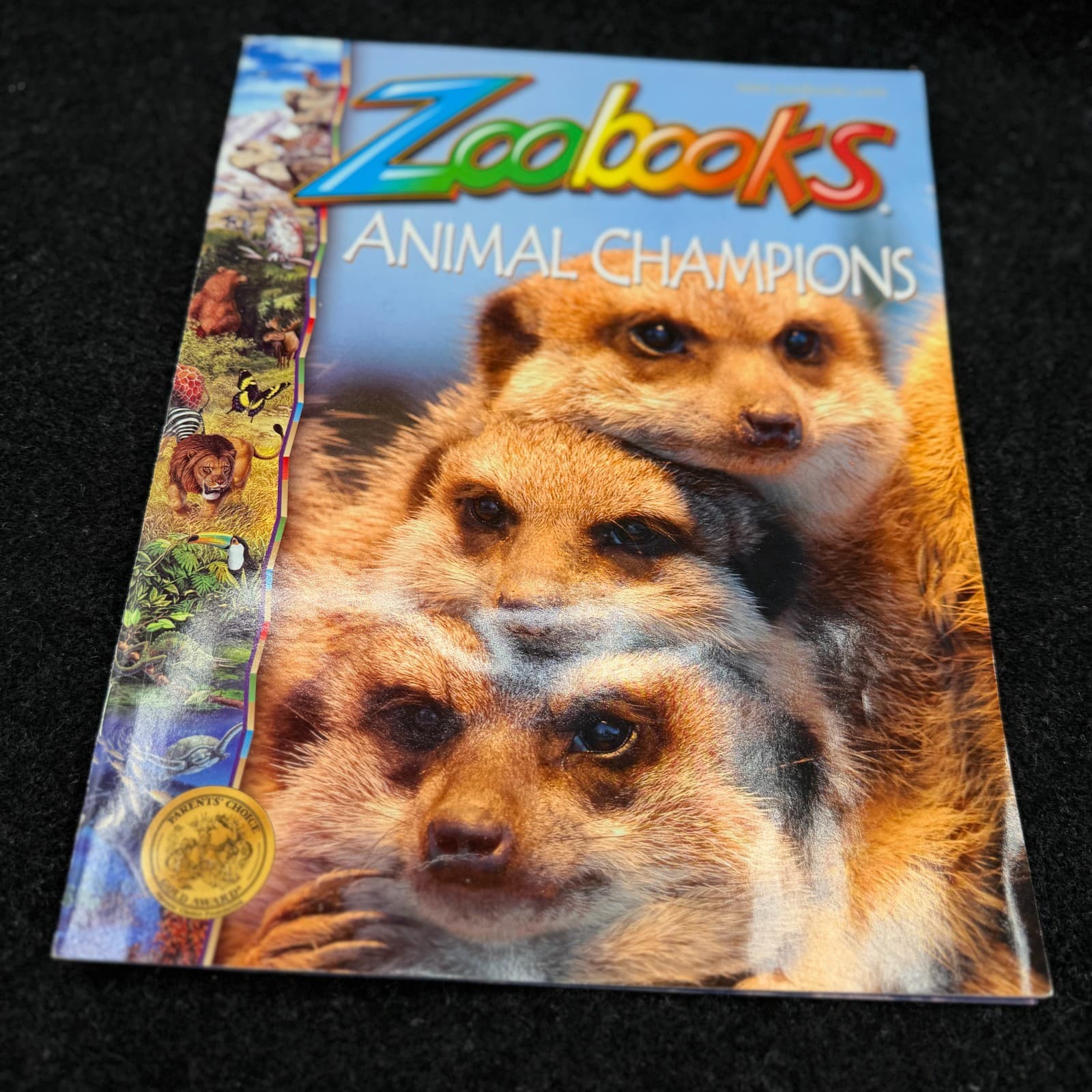 VTG Lot Of 10 Zoobooks Magazines Wildlife Education Homeschool Kids NO DUPLICATE - Thumbnail 7