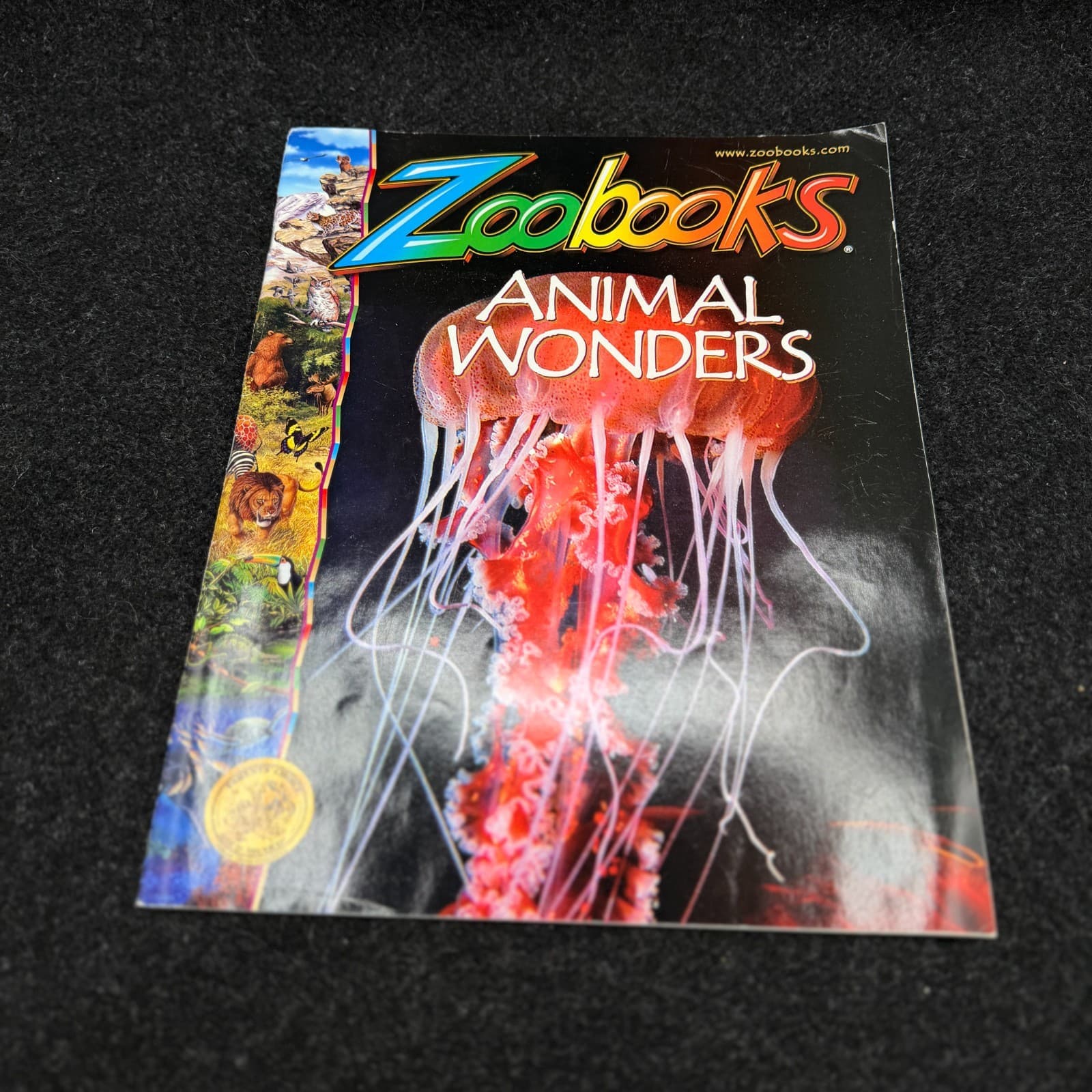 VTG Lot Of 10 Zoobooks Magazines Wildlife Education Homeschool Kids NO DUPLICATE - Thumbnail 4
