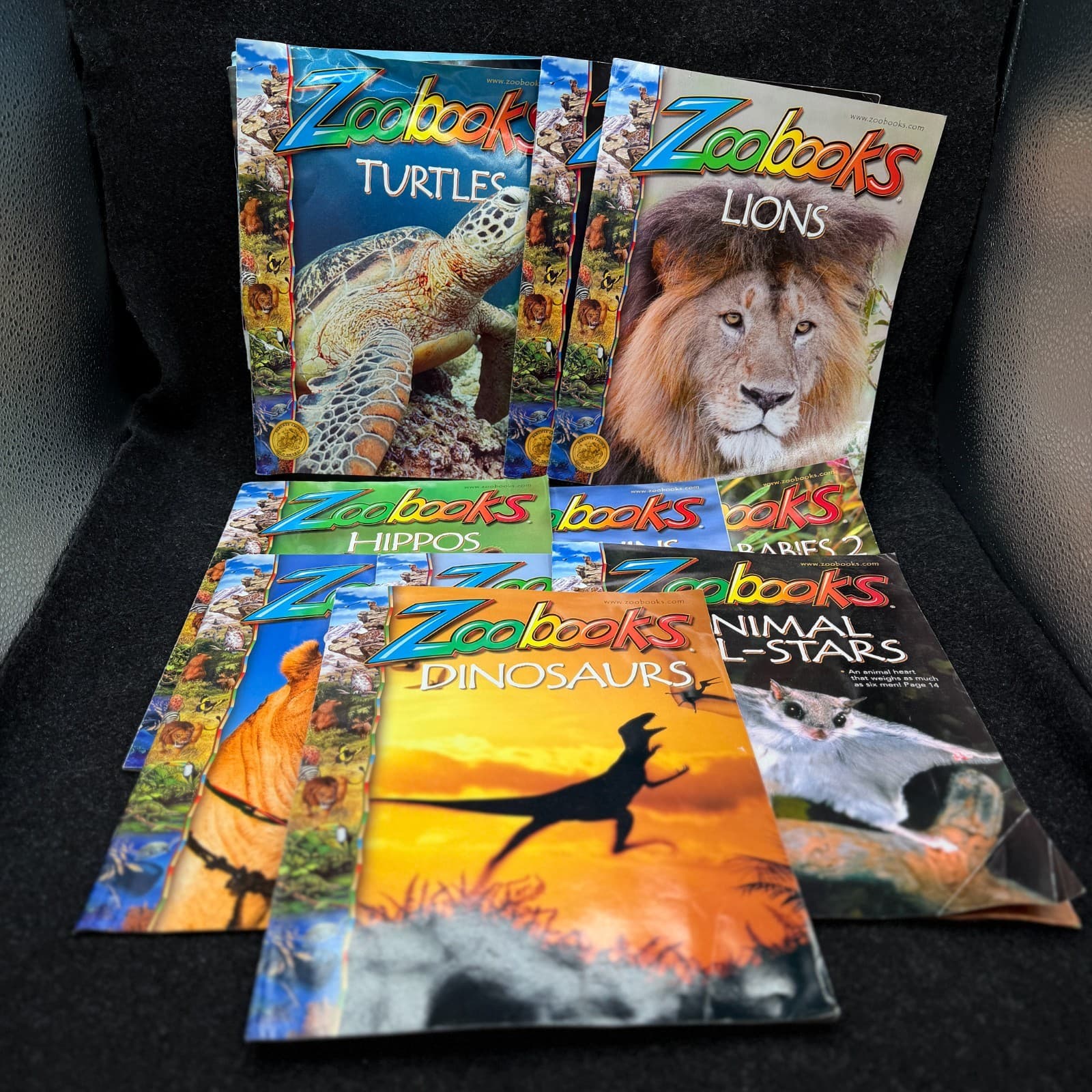 VTG Lot Of 10 Zoobooks Magazines Wildlife Education Homeschool Kids NO DUPLICATE