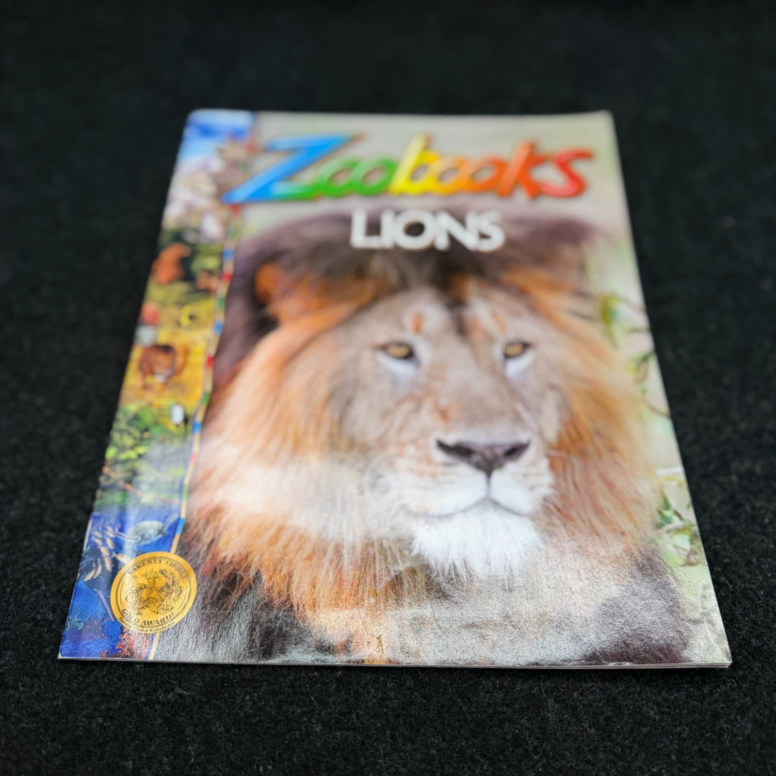 VTG Lot Of 10 Zoobooks Magazines Wildlife Education Homeschool Kids NO DUPLICATE - Thumbnail 3