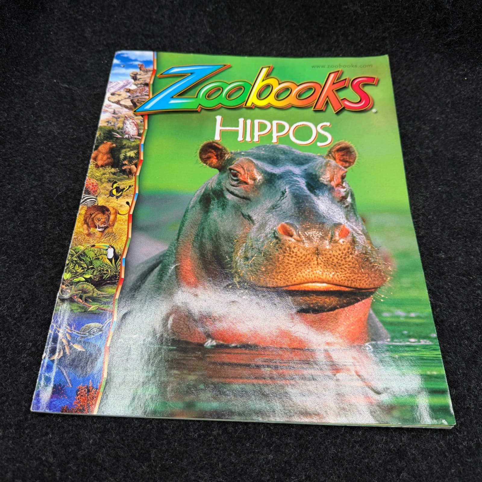 VTG Lot Of 10 Zoobooks Magazines Wildlife Education Homeschool Kids NO DUPLICATE - Thumbnail 9