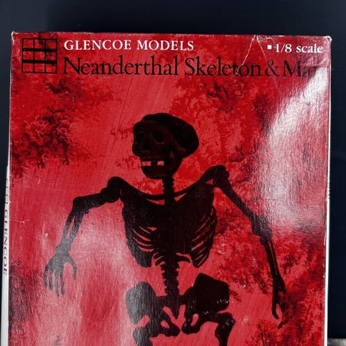 VTG 1993 Glencoe Model Neanderthal Skeleton & Man 1/8 Scale Model Kit CAVE MAN - Thumbnail 2