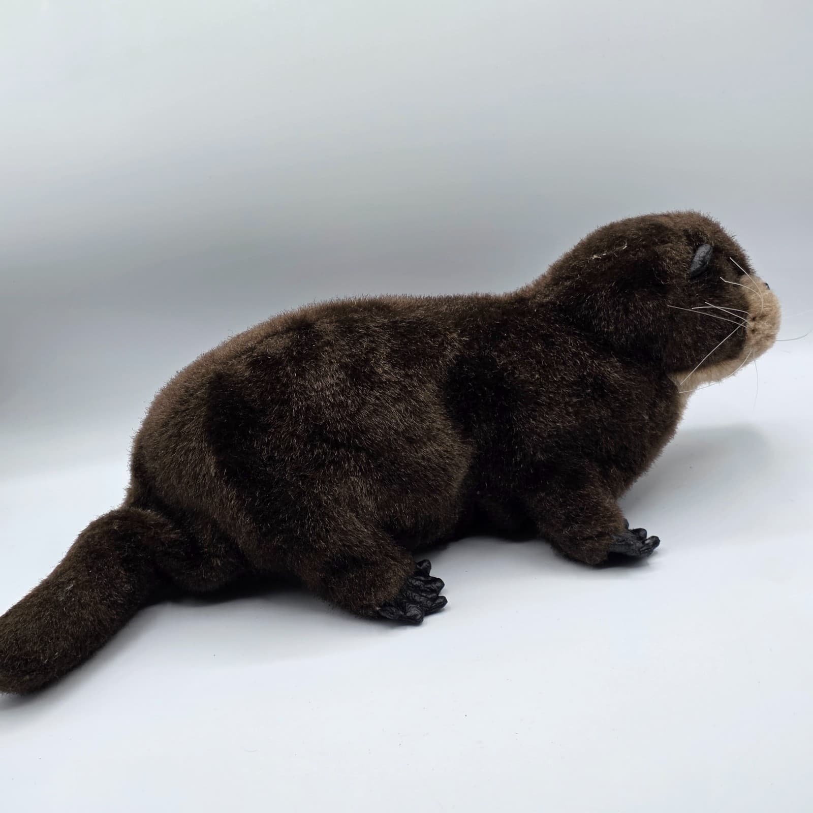 FOLKMANIS HAND PUPPET BROWN RIVER OTTER FULL BODY - 18" LONG - Thumbnail 8