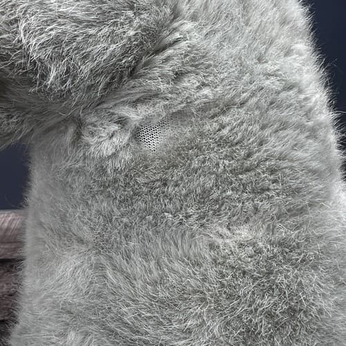 VTG Disneyland Walt Disney Pocahontas 14" Meeko Raccoon Plush Large - Thumbnail 5