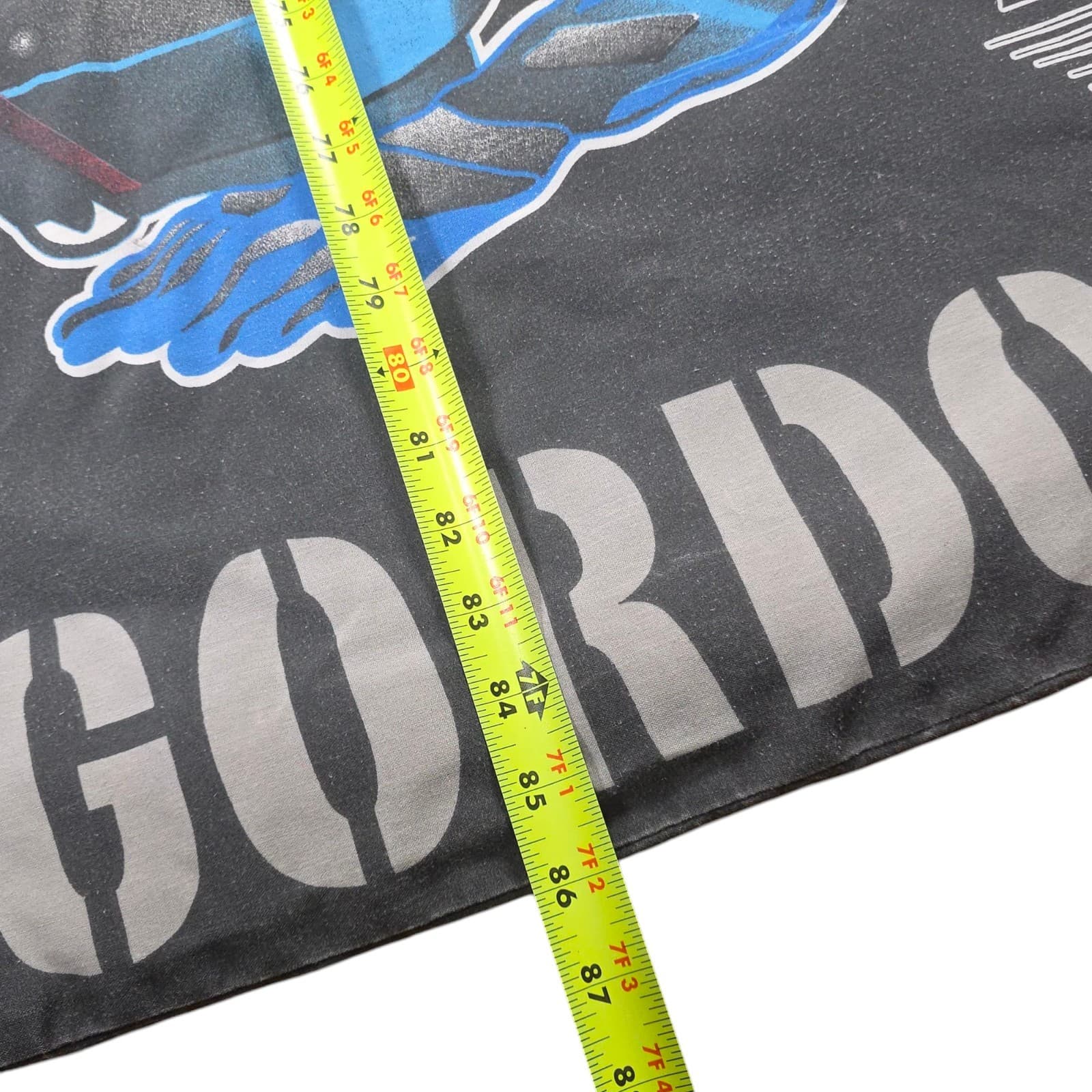 Vintage USA Race Car NASCAR Twin Size Reversible Comforter Blanket Jeff Gordon - Thumbnail 6