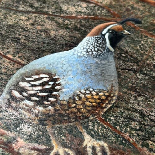 Quail Pair Oil Painting On Marble/Onyx Stone Art Signed by Susan Von Borstel - Thumbnail 3