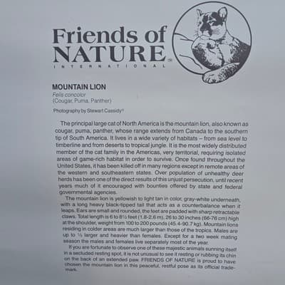 Vintage 90S Big Cat Mountain Lion Cougar Nature Poster Wall Art 22" X 16" - Thumbnail 8