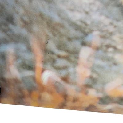 Vintage 90S Big Cat Mountain Lion Cougar Nature Poster Wall Art 22" X 16" - Thumbnail 3