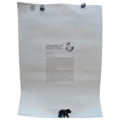 Vintage 90S Big Cat Mountain Lion Cougar Nature Poster Wall Art 22" X 16" - Thumbnail 7