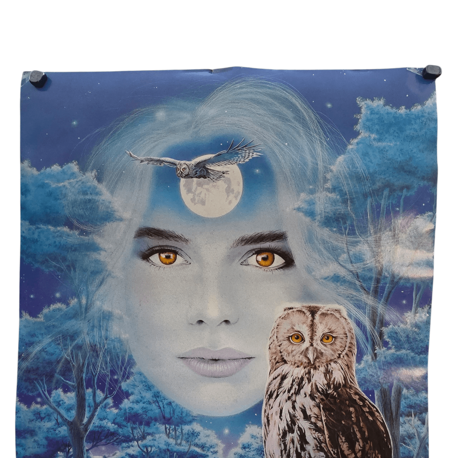 VINTAGE 1992 VERKERKE BLUE POSTER NATIVE AMERICAN WOMEN & OWL - Thumbnail 2