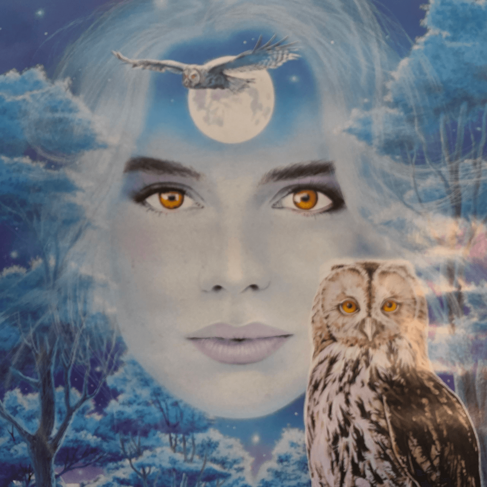 VINTAGE 1992 VERKERKE BLUE POSTER NATIVE AMERICAN WOMEN & OWL - Thumbnail 13