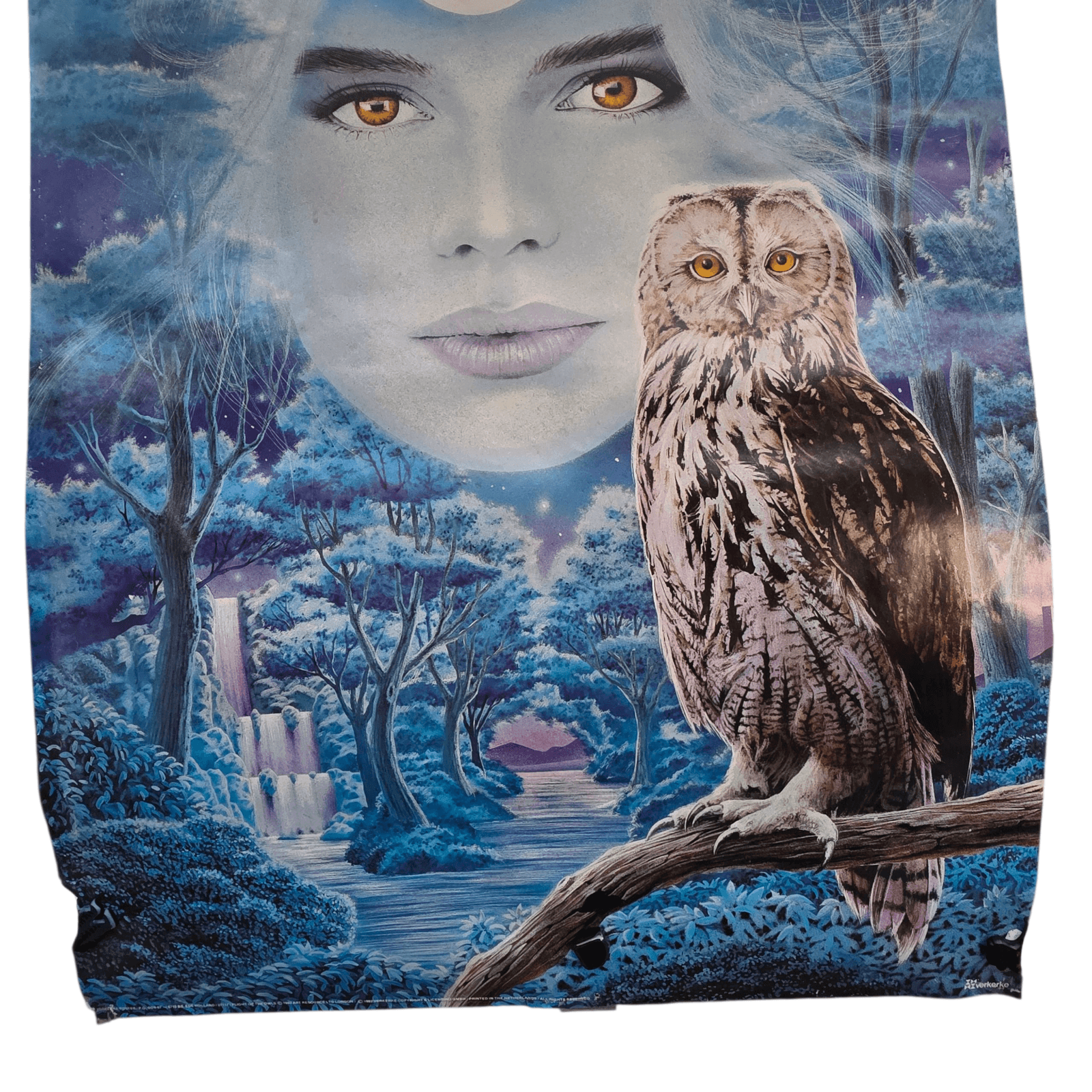 VINTAGE 1992 VERKERKE BLUE POSTER NATIVE AMERICAN WOMEN & OWL - Thumbnail 3