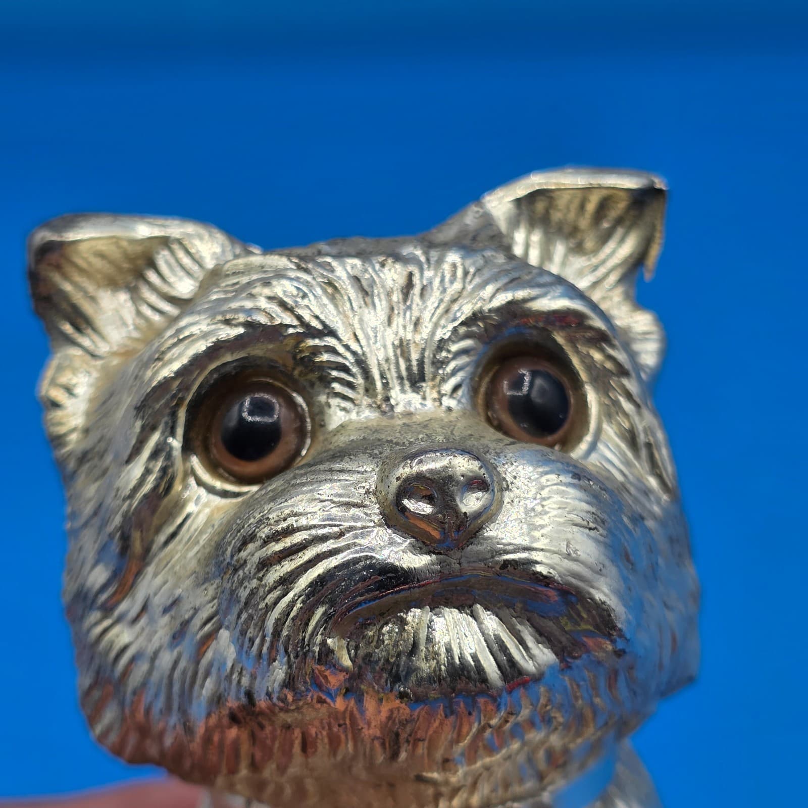 Yorkshire Terrier Dog Metal Coin Piggy Bank - Made In Japan - Tarnish Resistant - Thumbnail 2