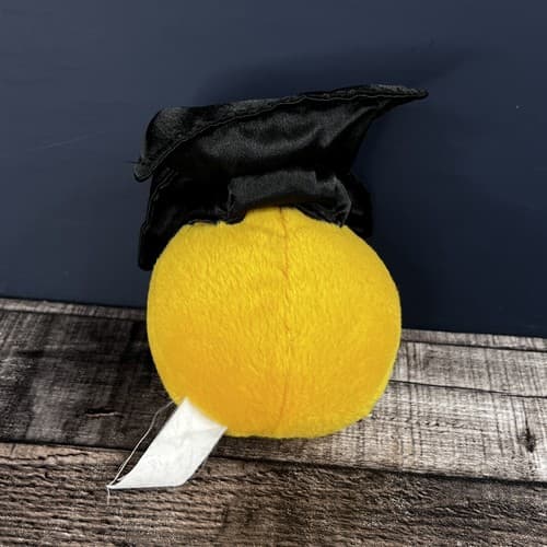 Vintage Collector’s Dan Dee Smiley Plush Graduate - Thumbnail 3