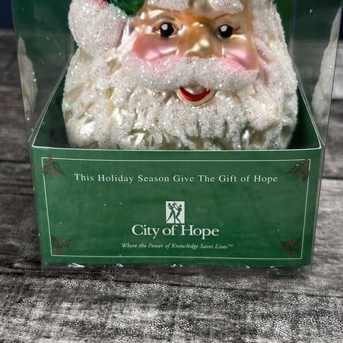 Christborn ORNAMENT Vintage Christmas SANTA FACE Hand Blown Glass GERMANY - Thumbnail 2