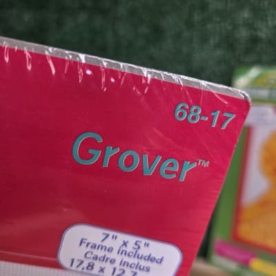 Vtg Janlynn Sesame Street Cross Stitch Kits x3 Big Bird, Grover, Bert & Ernie 97 - Thumbnail 5