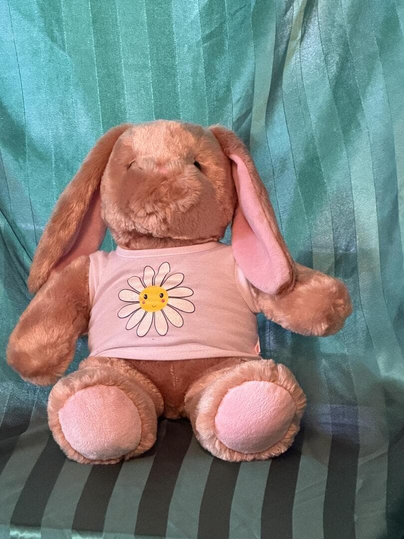 Build A Bear 2021 Pawlette Bunny with Spring Daisy Shirt