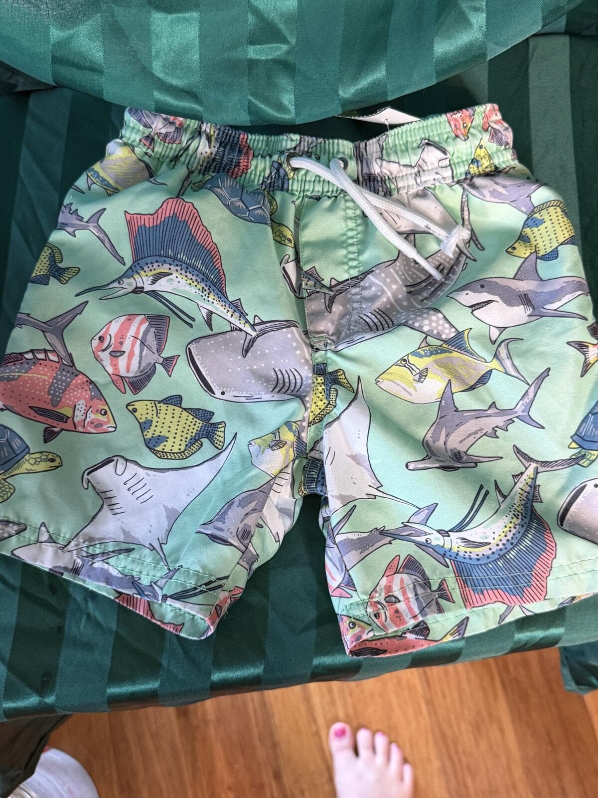 Carter's Boys 4T Swim Trunks with Fish and Shark Print