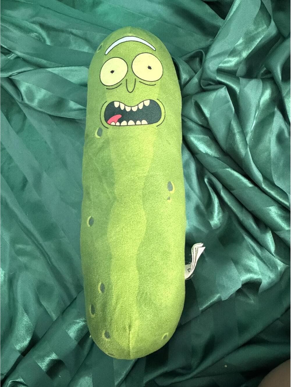 Rick and Morty Pickle Rick 14" Plush Pillow Collectible - Thumbnail 2