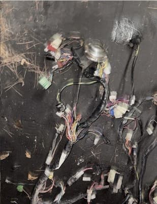 1987 Yamaha Venture XVZ1300 XVZ 1300 Electrical Wires Wiring Harness Loom Plug - Thumbnail 7