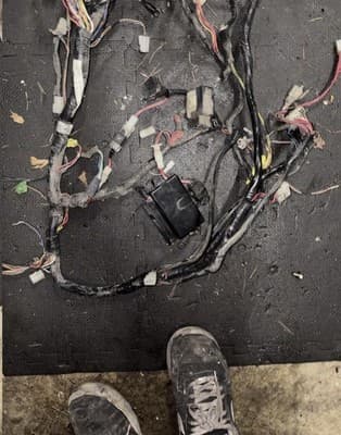 1987 Yamaha Venture XVZ1300 XVZ 1300 Electrical Wires Wiring Harness Loom Plug - Thumbnail 5