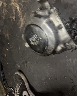 86-93 Yamaha XVZ13 Venture Royale XVZ 1300 stator cover - Thumbnail 5