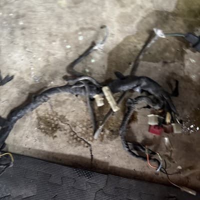 1983 Honda Magna V65 VF1100C OEM Wiring Harness Wire Loom Wires Cables Connector - Thumbnail 3
