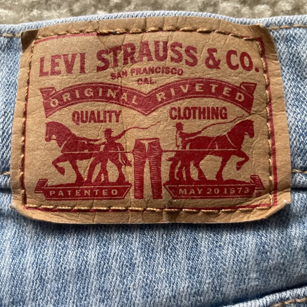 Levis Blue Pinstriped Classic Bermuda Shorts Womens 20W Preowned - Thumbnail 7