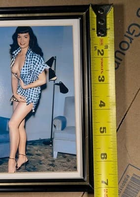 Bettie Page Framed Photo Reprint Vintage Pinup Queen Blue Gingham Shirt 4x6 - Thumbnail 4