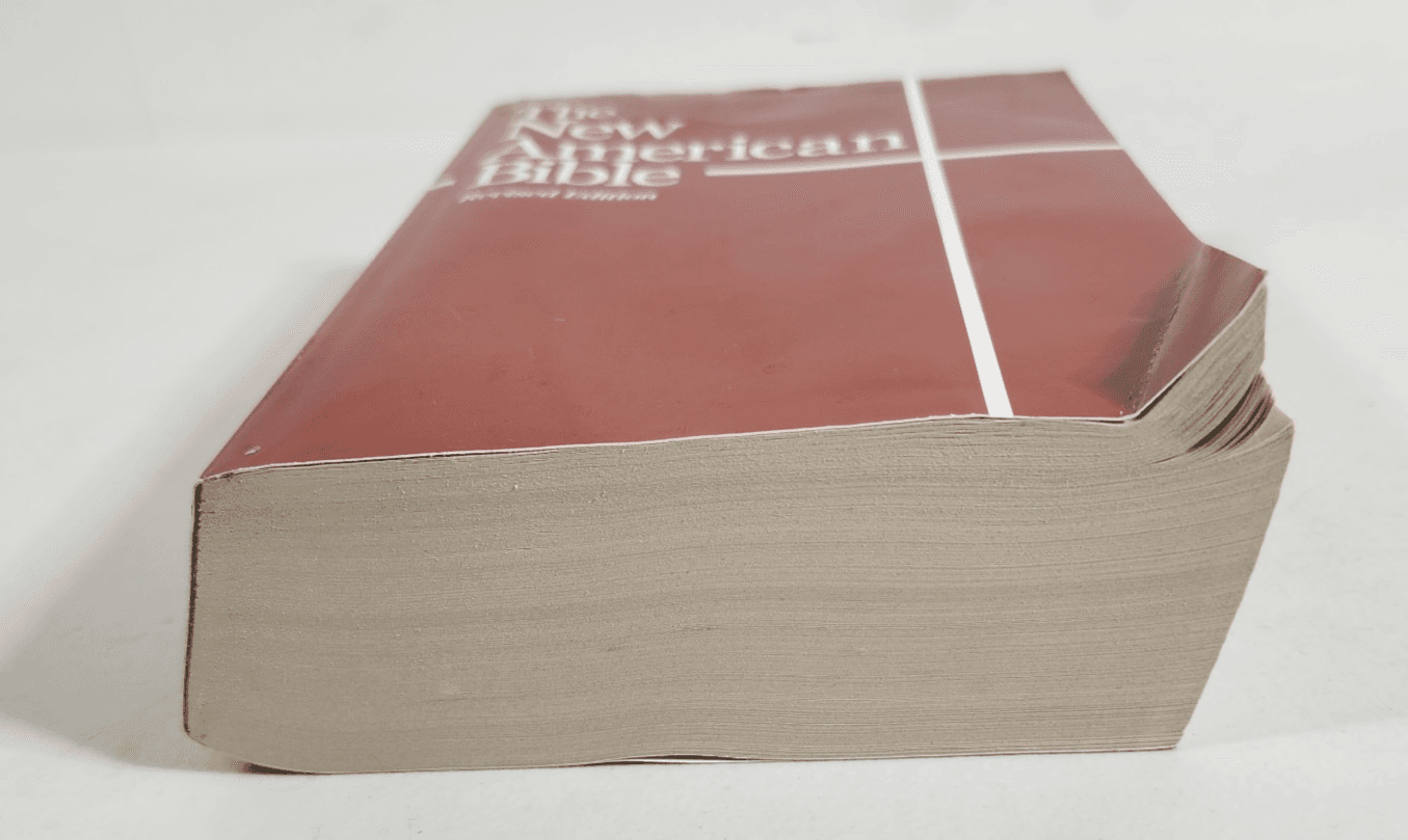 The New American Bible Revised Edition 2011 Trade Paperback - Thumbnail 3