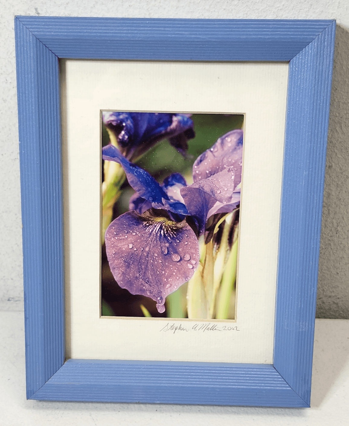 Iris Purple Perfection Framed Picture Art 8" X 6" Home Decor - Thumbnail 2