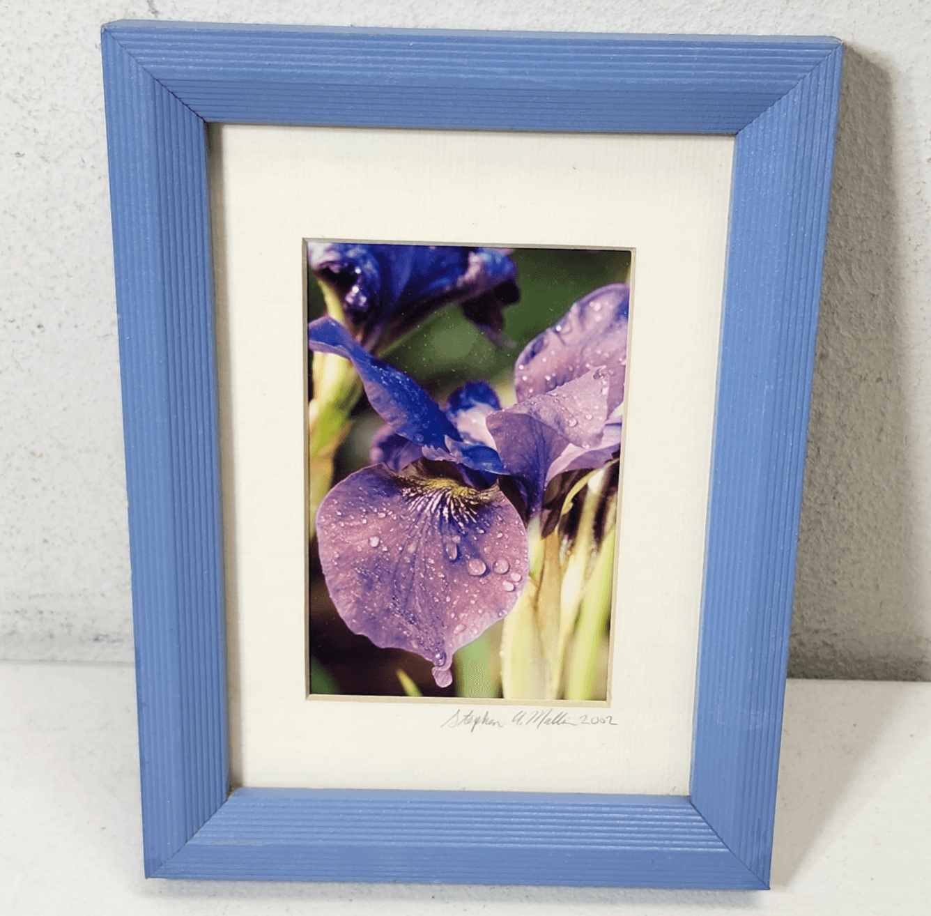 Iris Purple Perfection Framed Picture Art 8" X 6" Home Decor