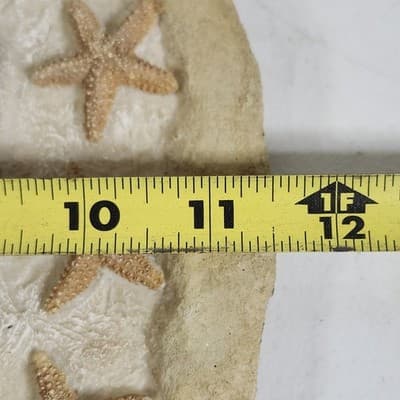 Nautical Sand Art Wall Plaque/Sea Shell Plaster Scallop Beige Sand Color 11.5" - Thumbnail 6