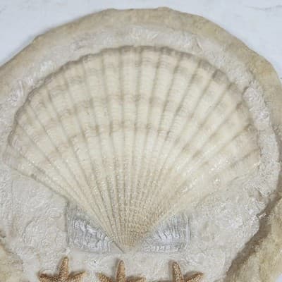 Nautical Sand Art Wall Plaque/Sea Shell Plaster Scallop Beige Sand Color 11.5" - Thumbnail 4