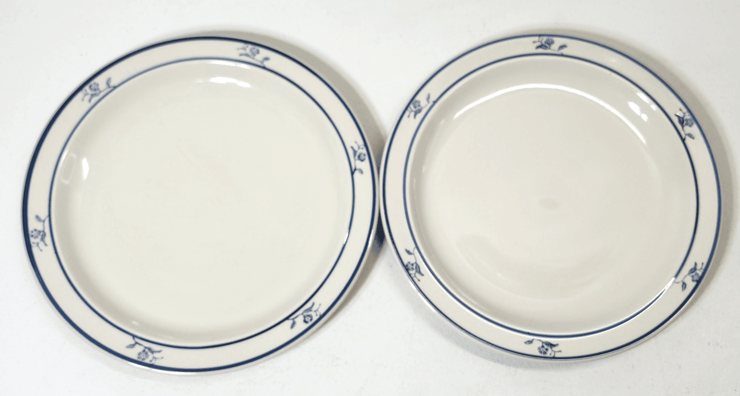 2 BRICK OVEN Stoneware Scandia Blue Tung Guan 10.25" Dinner Plates