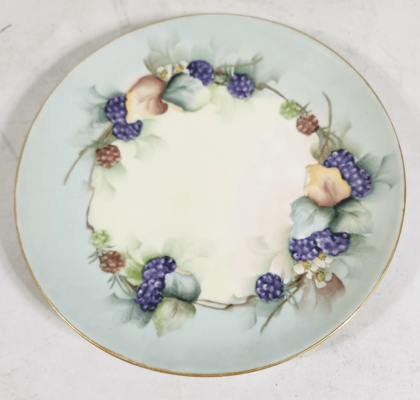 Haviland Hand Painted Plate Good Trim 8.5" France W/Black Berries