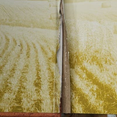 Our Daily Bread Hardcover J. David, Bosch, Henry G., DeHaan, Denn - Thumbnail 4