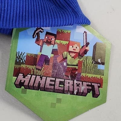 Minecraft Boy's Large Hoodie Blue Long Sleeve Pullover Hooded Sweatshirt NEW - Thumbnail 8