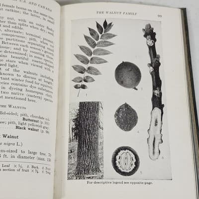 Vintage Whittlesey House Field Guide Series Book 1942 Mcgraw-Hill - Thumbnail 3