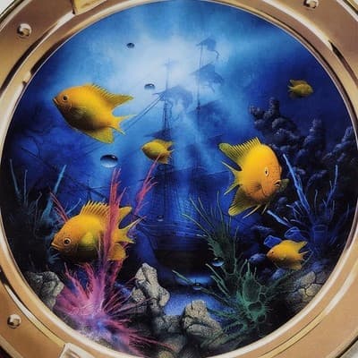 Royal Doulton Neptune's Porthole Decorative Collector Plate Fish Theme Decor - Thumbnail 4