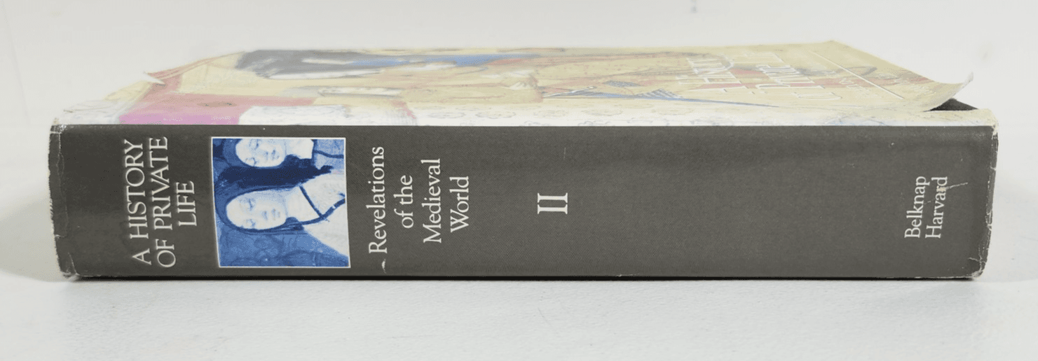A History of Private Life Revelations of the Medieval World Georges Duby - Thumbnail 4