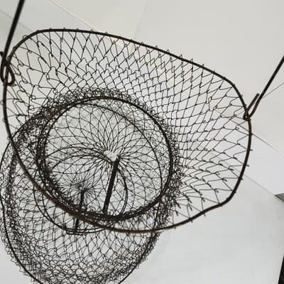 Vintage Fishing Metal Live Bait Basket Cage Collapsible Net Fish Keeper 14" - Thumbnail 3