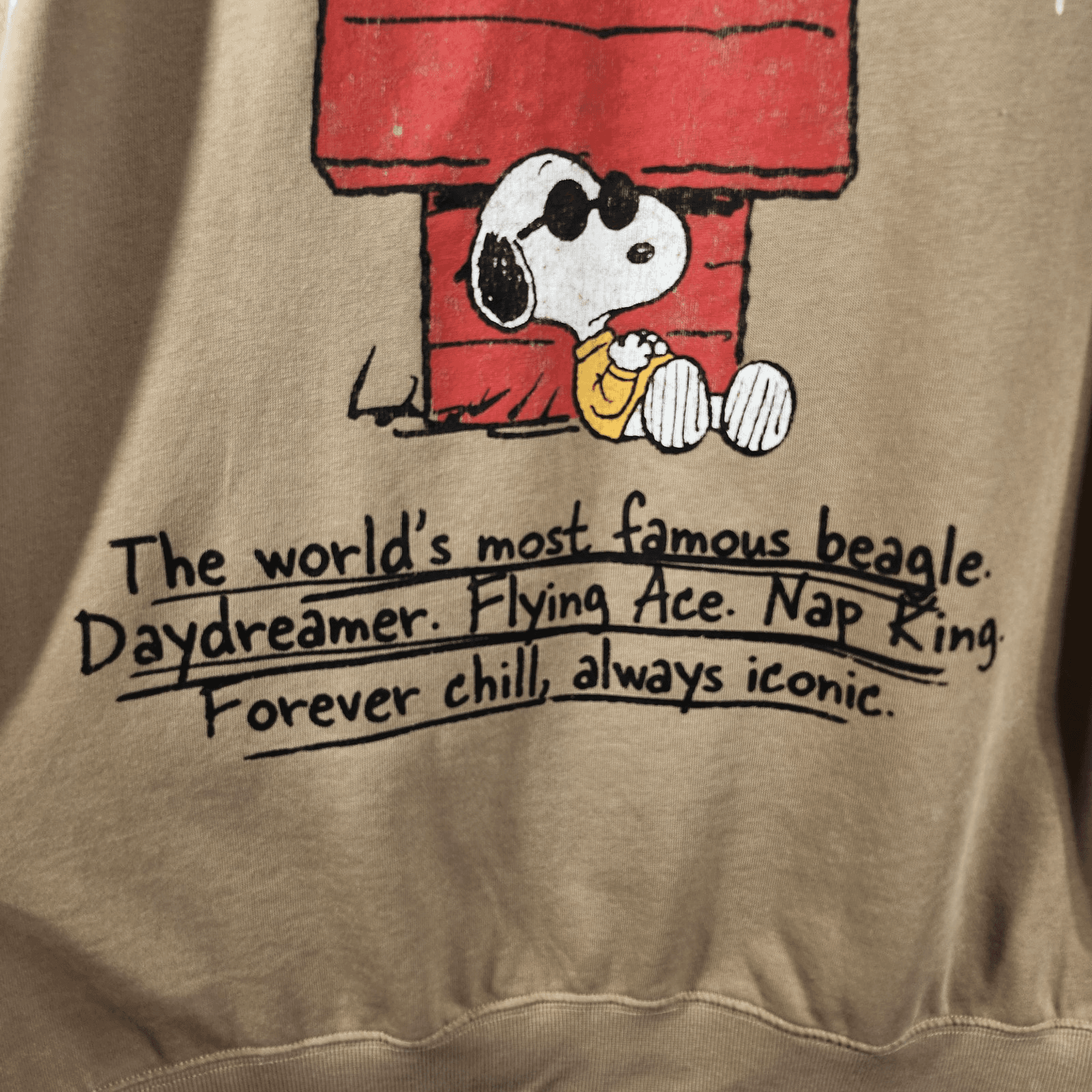 Snoopy Men's XL Hoodie Peanuts Hooded Sweatshirt Double Sided Graphic NEW - Thumbnail 8