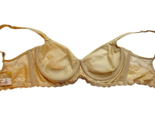 Nude Bra 34C Swiss Dot Cup Boned Sides Beige Floral Romantic Blush Lace Lingerie - Thumbnail 3
