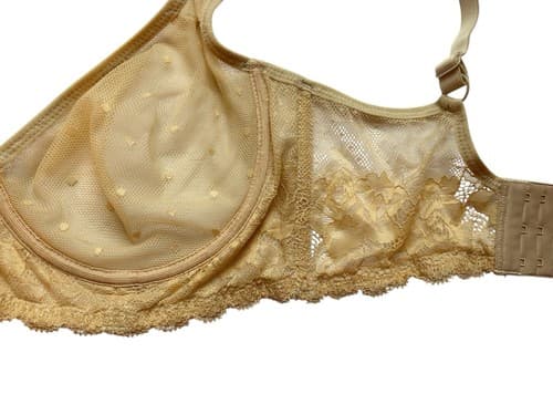 Nude Bra 34C Swiss Dot Cup Boned Sides Beige Floral Romantic Blush Lace Lingerie - Thumbnail 5