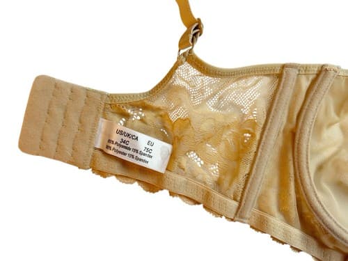 Nude Bra 34C Swiss Dot Cup Boned Sides Beige Floral Romantic Blush Lace Lingerie - Thumbnail 4