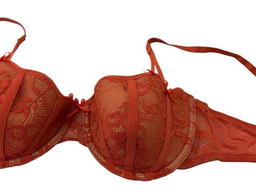 Adore Me Rust 34C Bra Bow Accents Push Up Bralette Lingerie Floral Lace - Thumbnail 4